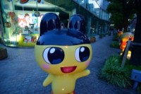 Tamagotchi